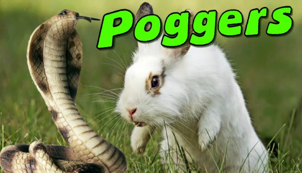 Poggers 游戏封面