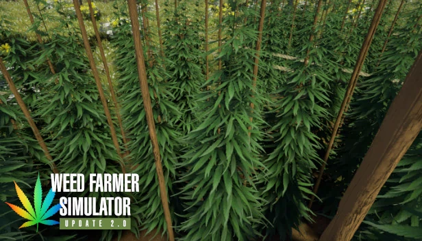 大麻农场模拟器（Weed Farmer Simulator） 游戏封面