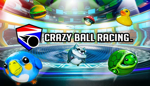 疯狂球赛车™（Crazy Ball Racing™） 游戏封面