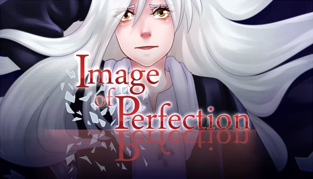 完美形象（Image of Perfection） 游戏封面