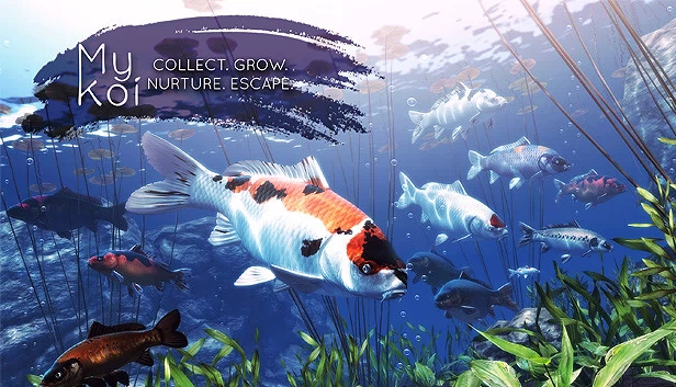我的锦鲤（My Koi） 游戏封面