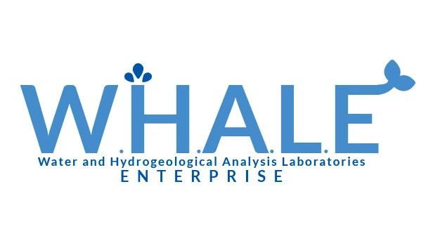 W.H.A.L.E. 游戏封面
