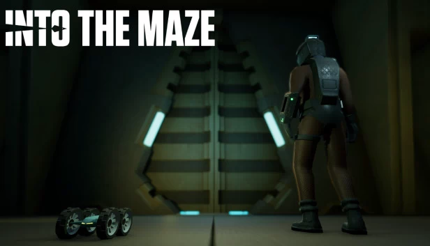 进入迷宫（Into The Maze） 游戏封面