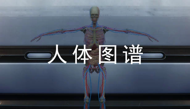 人体图谱 游戏封面