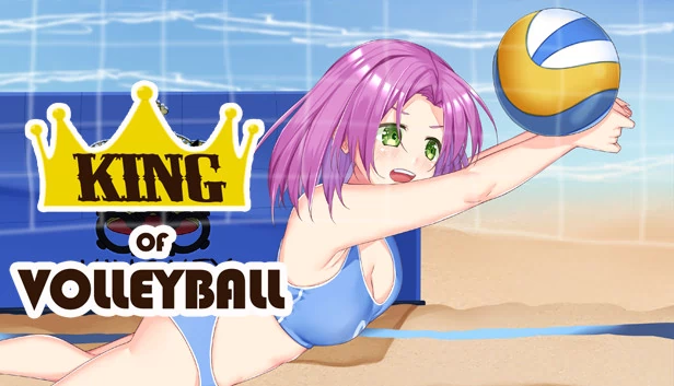 排球之王（King of Volleyball） 游戏封面