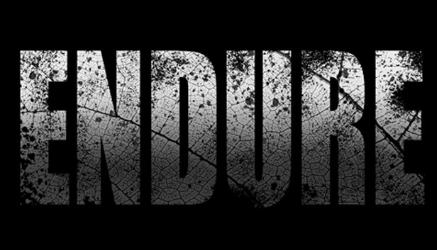 ENDURE 游戏封面