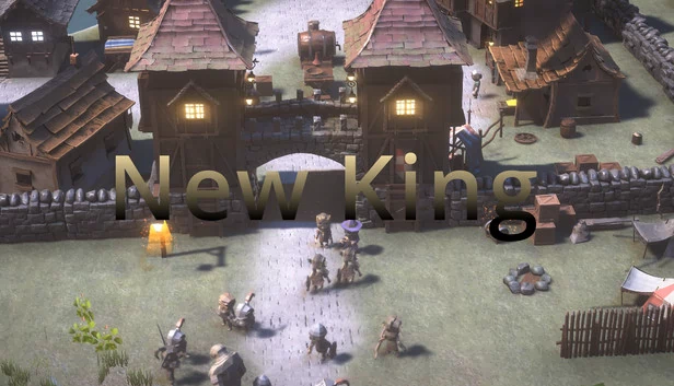 新王（New King） 游戏封面