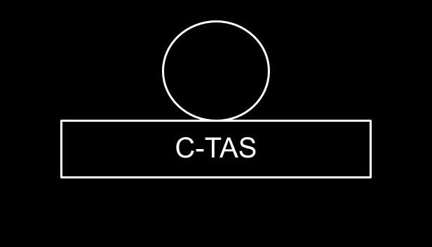 C-TAS：一款虚拟中文学习游戏（C-TAS: A Virtual Chinese Learning Game） 游戏封面