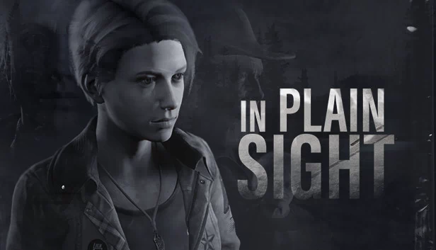 In Plain Sight 游戏封面