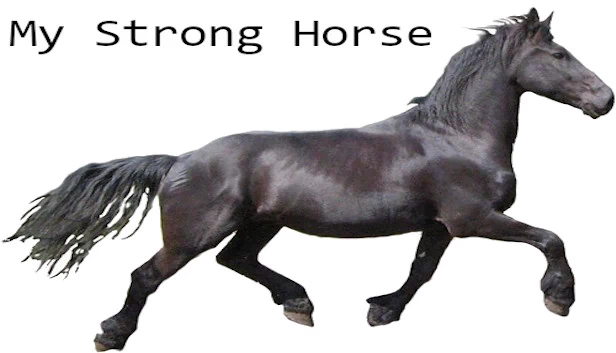 我的强力马(My Strong Horse) 游戏封面