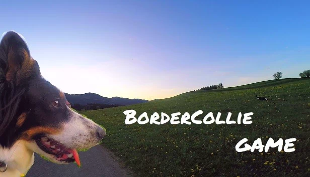 边境牧羊犬游戏（BorderCollie Game） 游戏封面
