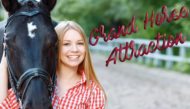 Grand Horse Attraction(Grand horse attraction) 游戏封面
