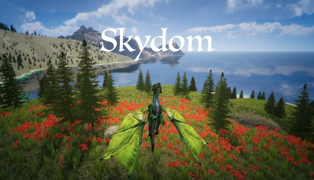天空王国(Skydom) 游戏封面