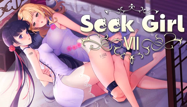 Seek Girl Ⅶ 游戏封面