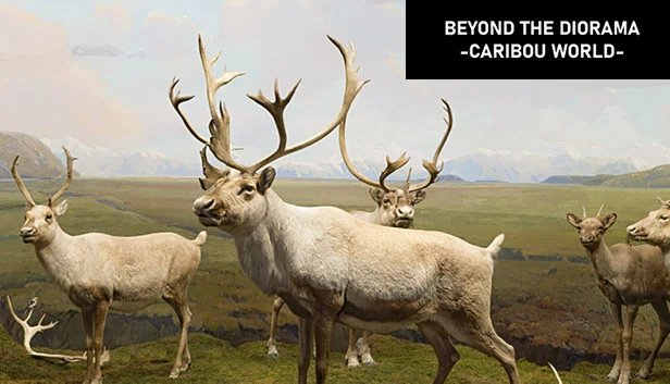 Beyond The Diorama: Caribou World 游戏封面