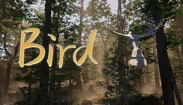 鸟（Bird） 游戏封面