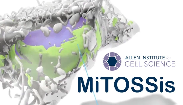 MiTOSSis 游戏封面