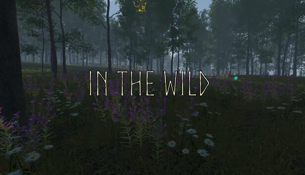 在野外（In the Wild） 游戏封面