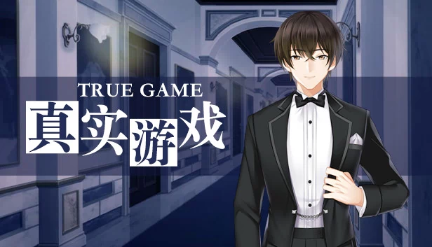 True Game 游戏封面