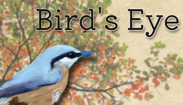 鸟瞰（Bird's Eye） 游戏封面