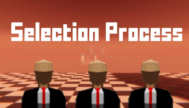 选择过程（Selection Process） 游戏封面