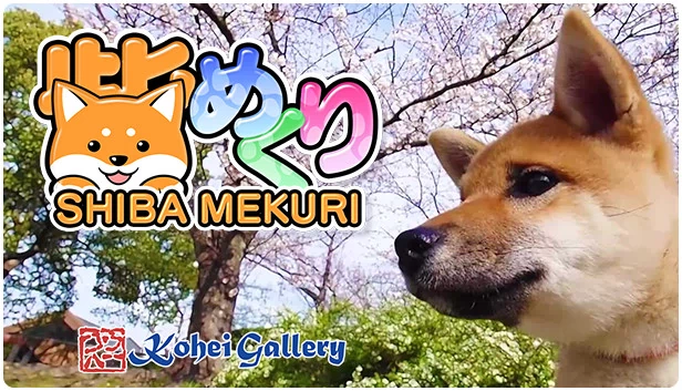 柴めくり（Shiba Mekuri 柴めくり） 游戏封面