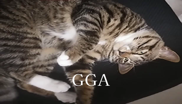 GGA 游戏封面