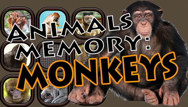 动物记忆：猴子（Animals Memory: Monkeys） 游戏封面