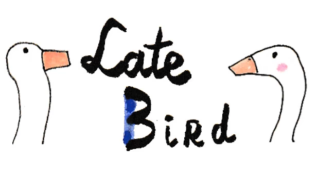 迟到的鸟（Late Bird） 游戏封面