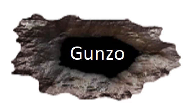 GUNZO! 游戏封面