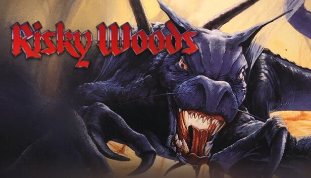 危险森林(Risky Woods) 游戏封面