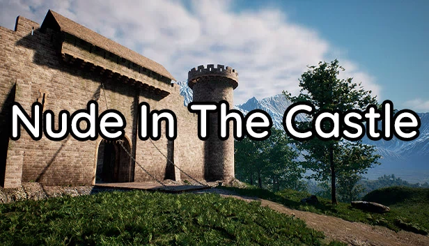 裸体在城堡（Nude In The Castle） 游戏封面