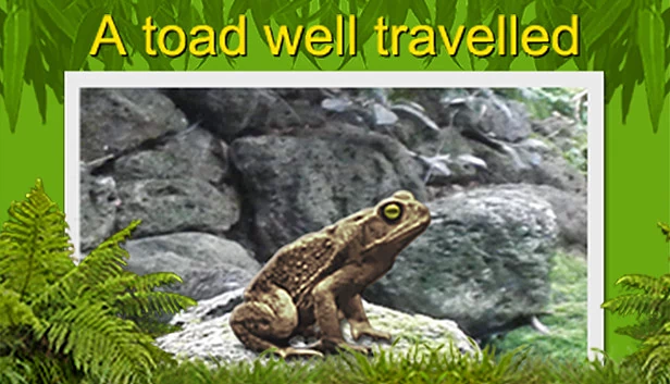 一只旅行青蛙（A toad well travelled） 游戏封面