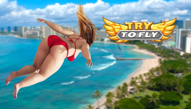 尝试飞翔（Try to Fly） 游戏封面