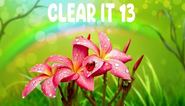 ClearIt 13 游戏封面