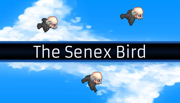 塞内克斯鸟（The Senex Bird） 游戏封面