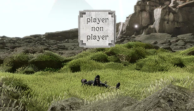 玩家与非玩家（Player Non Player） 游戏封面
