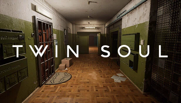 双魂（Twin Soul） 游戏封面