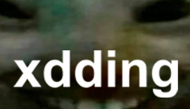xdding 游戏封面