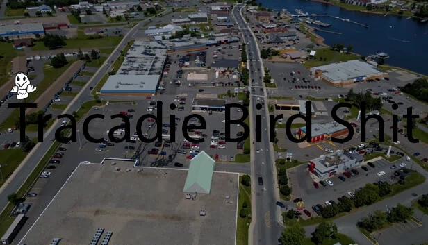 特拉卡迪鸟粪（Tracadie Bird Shit） 游戏封面