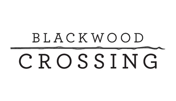 黑木交叉（Blackwood Crossing） 游戏封面
