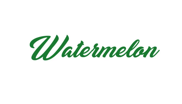 西瓜（Watermelon） 游戏封面