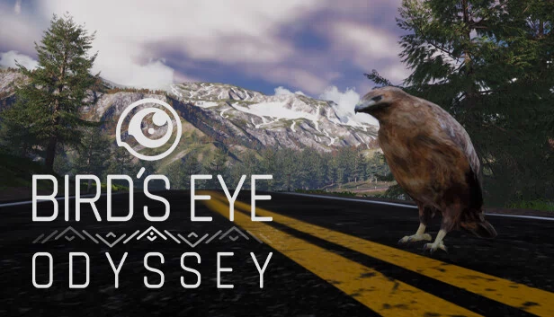 鸟瞰奥德赛（Bird's Eye Odyssey） 游戏封面