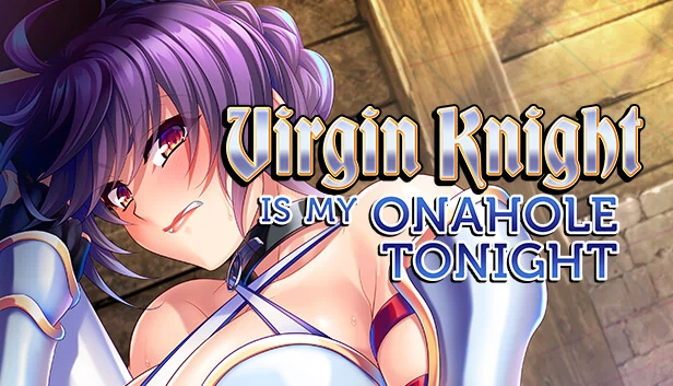 Virgin Knight is my Onahole Tonight 游戏封面