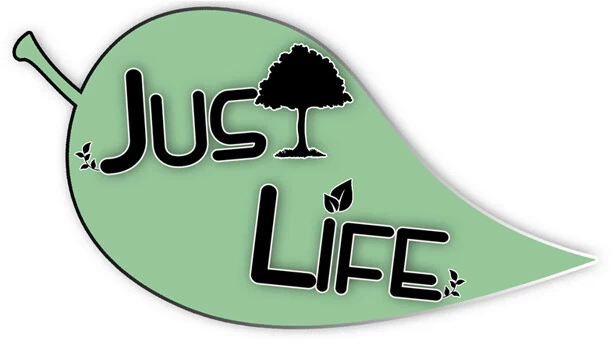Just Life: A New Farmer's Story 游戏封面