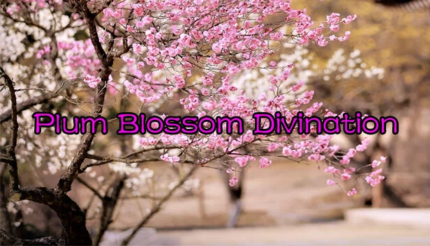 梅花易数（Plum Blossom Divination） 游戏封面