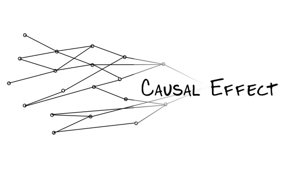 因果效应（Causal Effect） 游戏封面