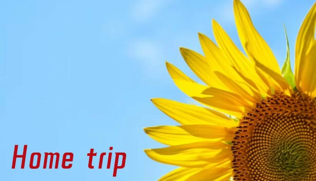归家之旅（Home trip） 游戏封面