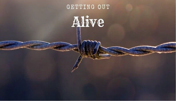 活着逃出去（Getting Out Alive） 游戏封面
