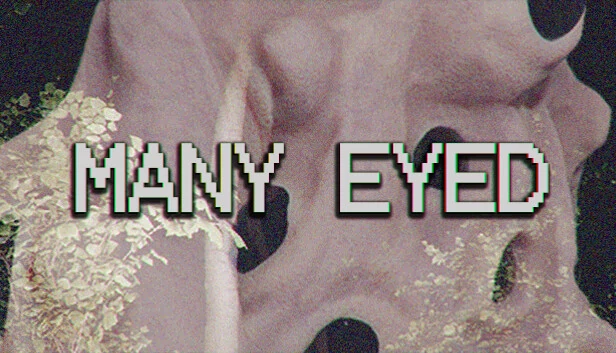 多眼（Many Eyed） 游戏封面